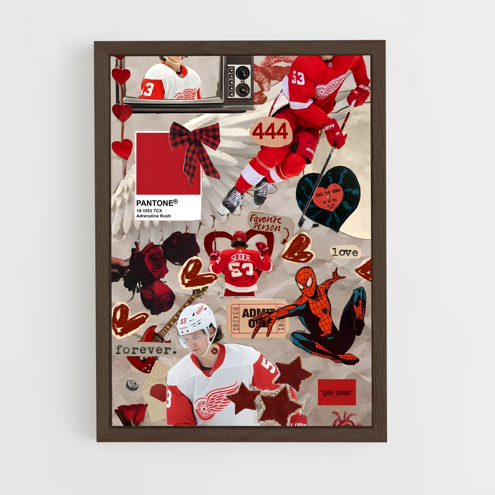 Poster Moritz seider – affiche Hockey sur glace (vue 5)